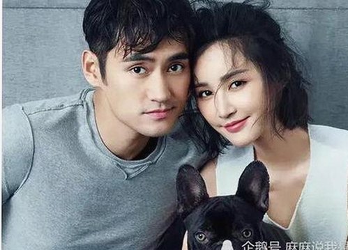 娱乐圈那些三字明星与关晓彤：独家爆料背后的故事