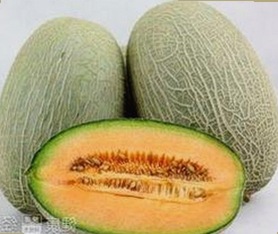 娱乐圈最新冲突揭秘：吃瓜酱与考拉的神秘打架真相大曝光